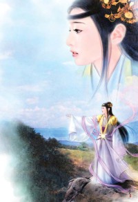 女尊：皇女王為妃
