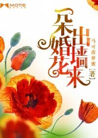 《一朵婚花出牆來》