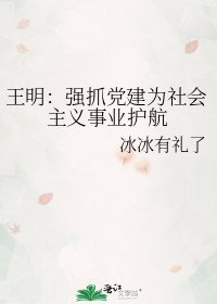 《王明:強抓黨建為社會主義事業護航》
