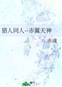 《獵人同人--赤翼天神》