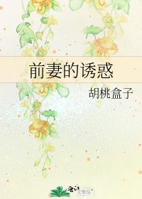 《前妻的誘惑》