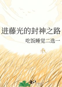 《進藤光的封神之路》