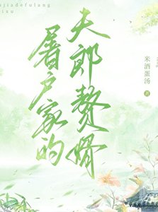 《屠戶家的夫郎贅婿》