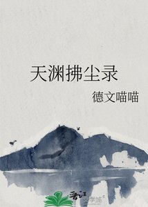 《天淵拂塵錄》