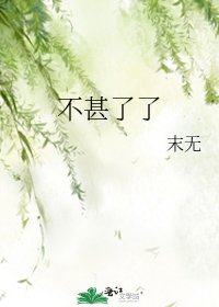 《不甚了了》
