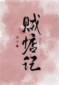 《賊惦記》
