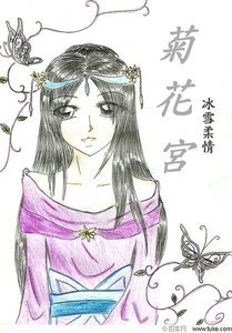 菊花宫之冰肌玉骨
